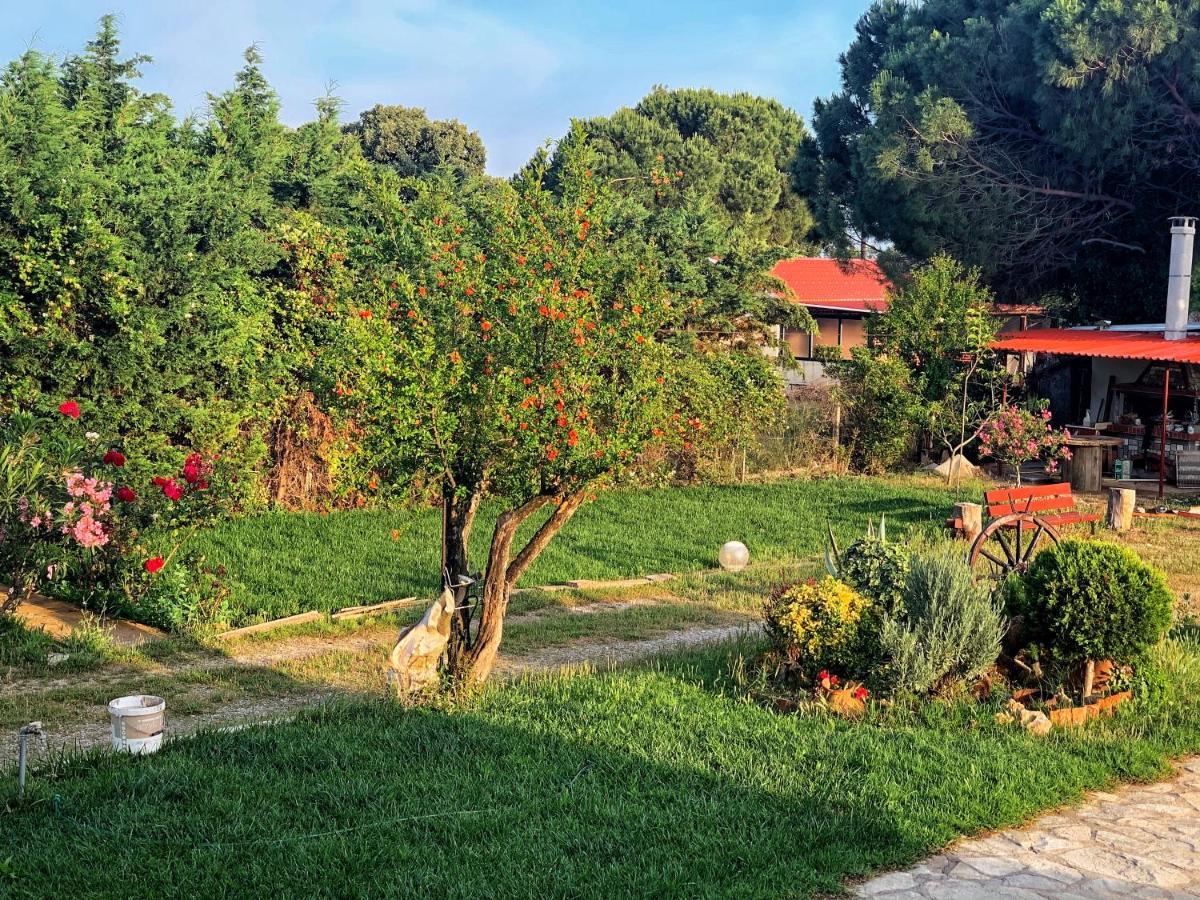 Ivonnis Garden Villa Mesimvria  Exteriör bild