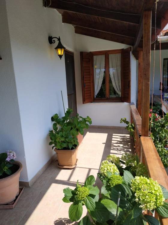Ivonnis Garden Villa Mesimvria  Exteriör bild