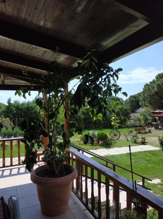 Ivonnis Garden Villa Mesimvria  Exteriör bild