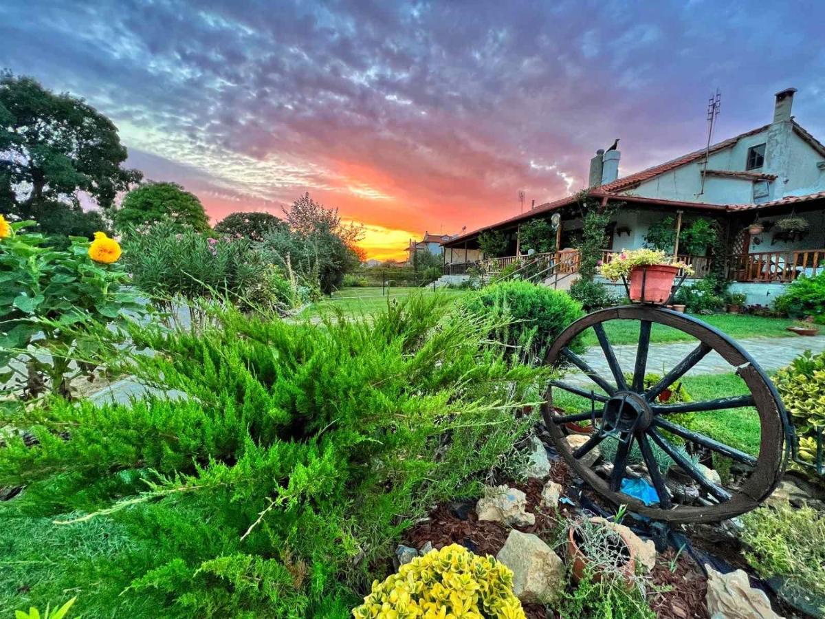 Ivonnis Garden Villa Mesimvria  Exteriör bild