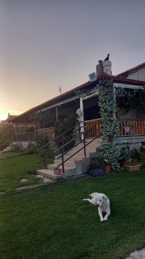 Ivonnis Garden Villa Mesimvria  Exteriör bild