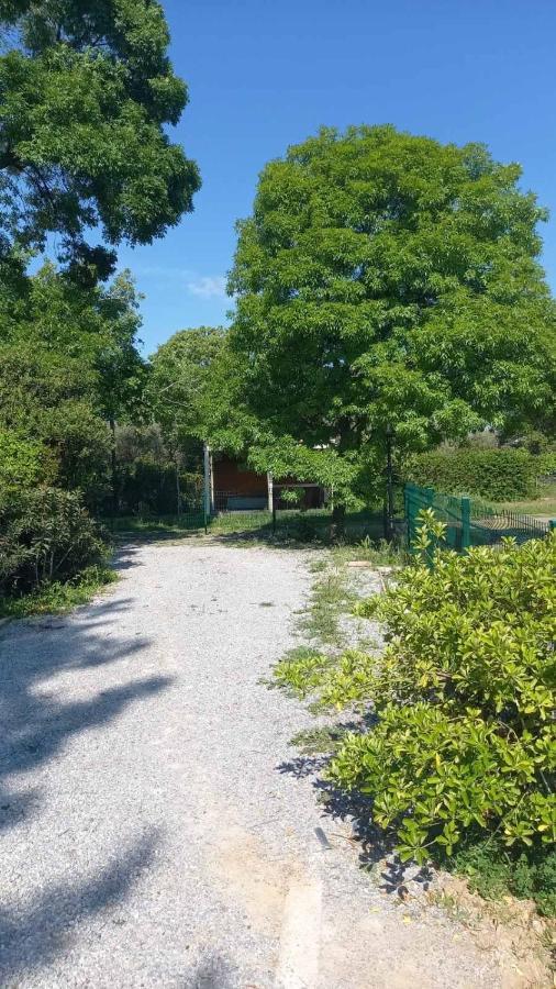 Ivonnis Garden Villa Mesimvria  Exteriör bild