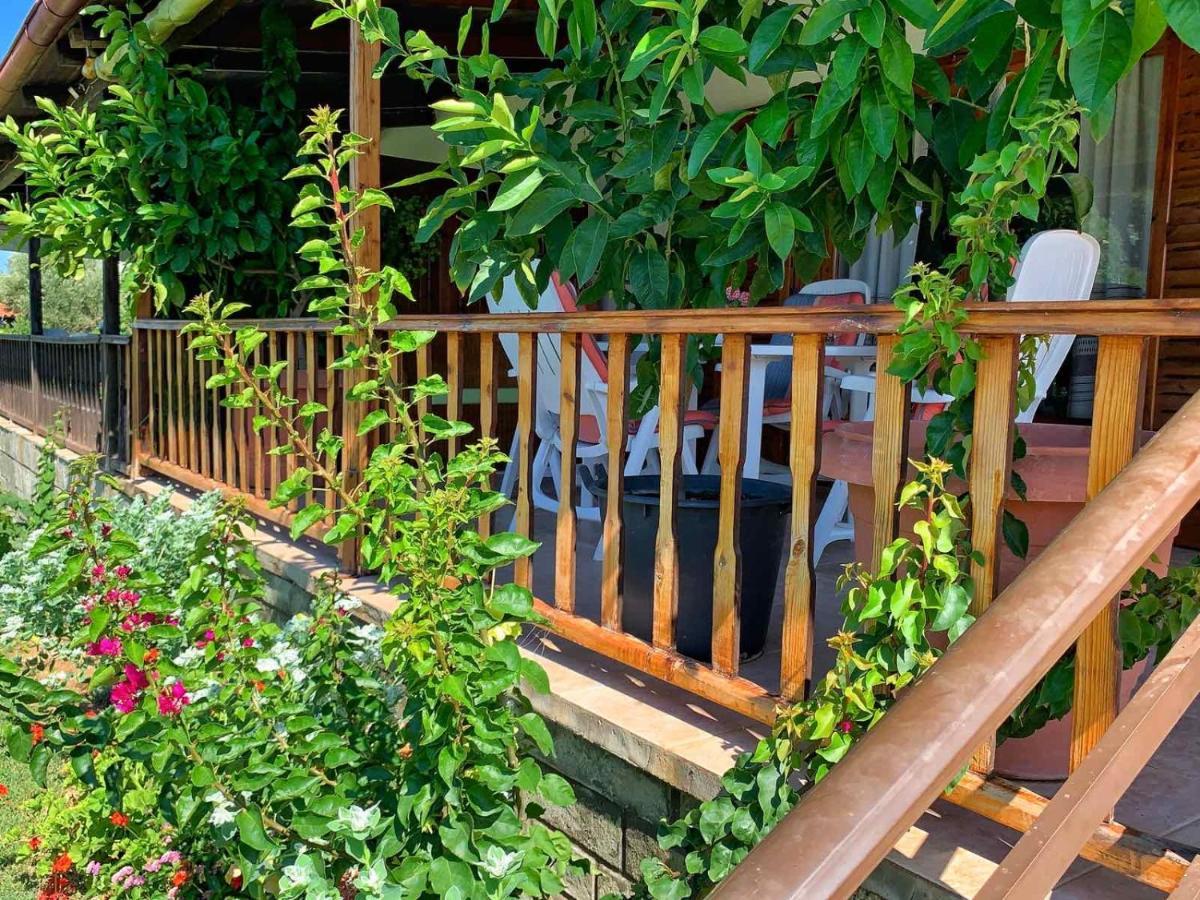Ivonnis Garden Villa Mesimvria  Exteriör bild