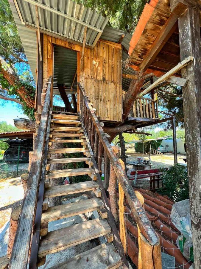 Ivonnis Garden Villa Mesimvria  Exteriör bild
