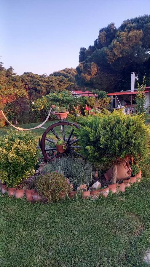 Ivonnis Garden Villa Mesimvria  Exteriör bild