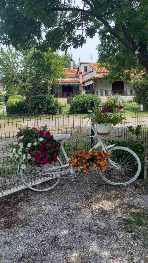 Ivonnis Garden Villa Mesimvria  Exteriör bild